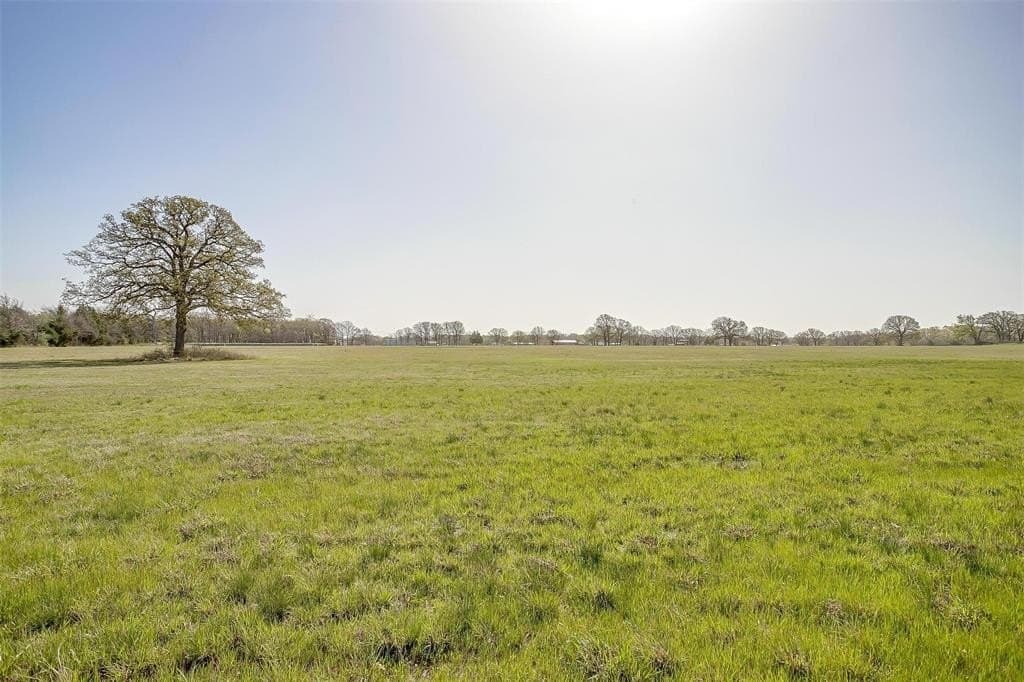 114.3 acres in Henderson County gallery image 2