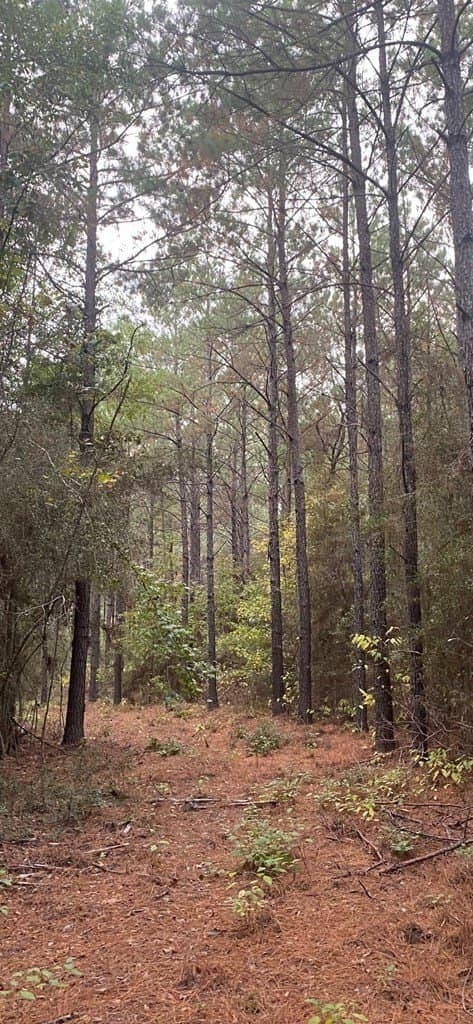6.07 acres in Texas County - photo 7