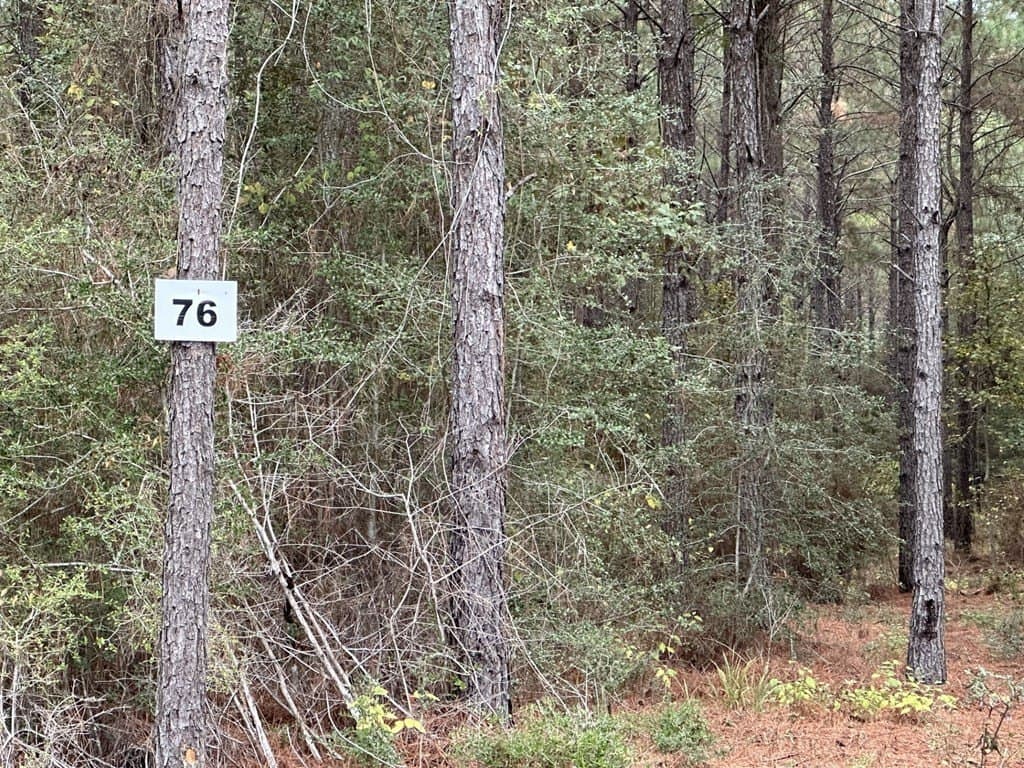 6.07 acres in Texas County gallery image 3
