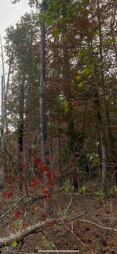 6.07 acres in Texas County - photo 6