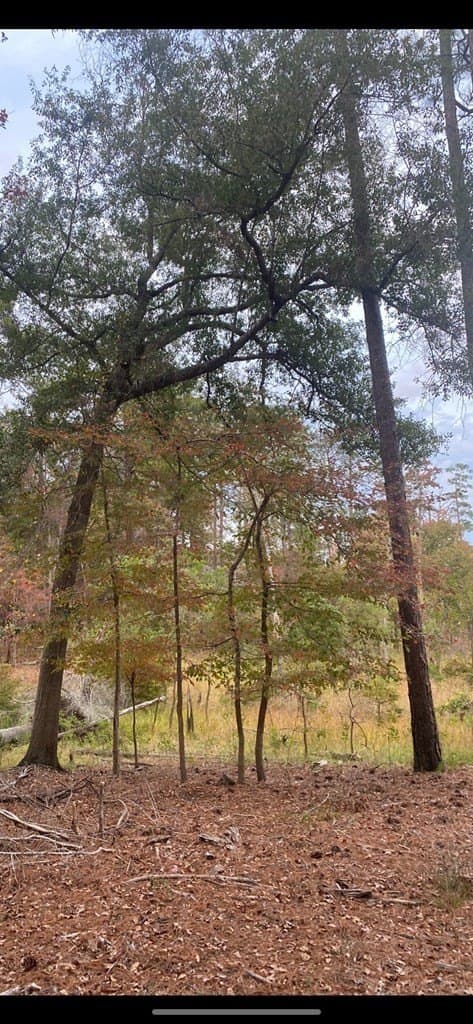 6.07 acres in Texas County featured view