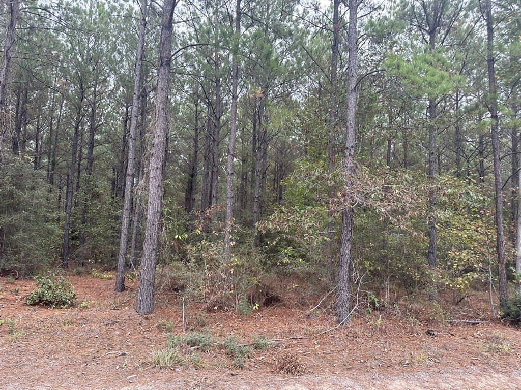 6.07 acres in Texas County gallery image 4