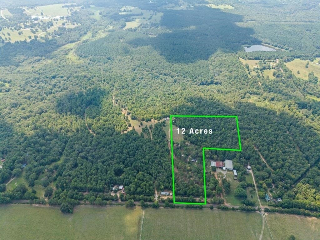 12 acres in Upshur County gallery image 3