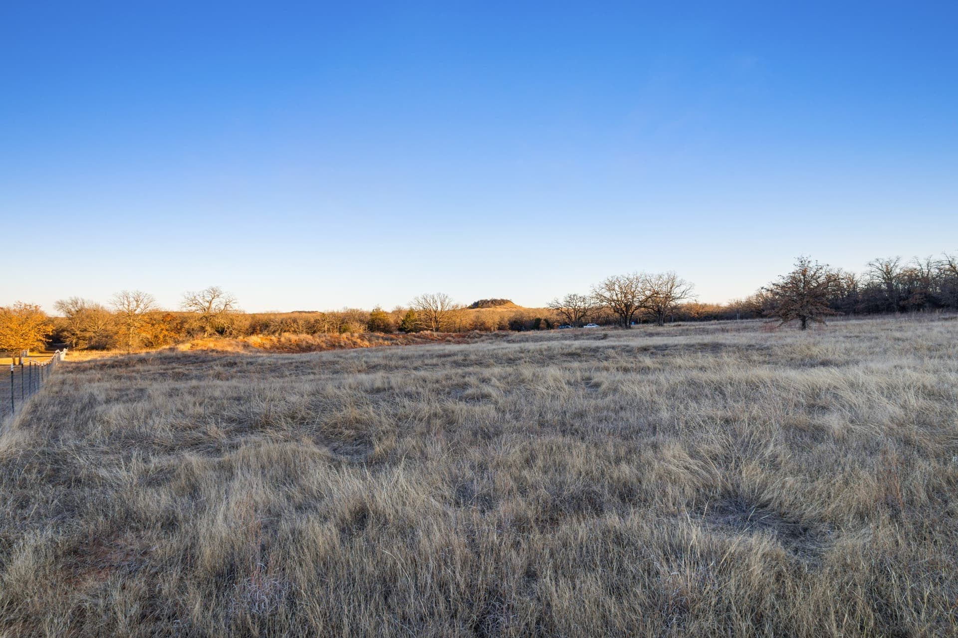 10.01 acres in Wise County gallery image 4
