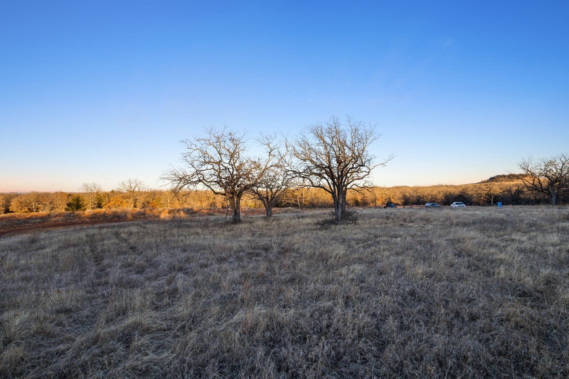10.01 acres in Wise County featured view