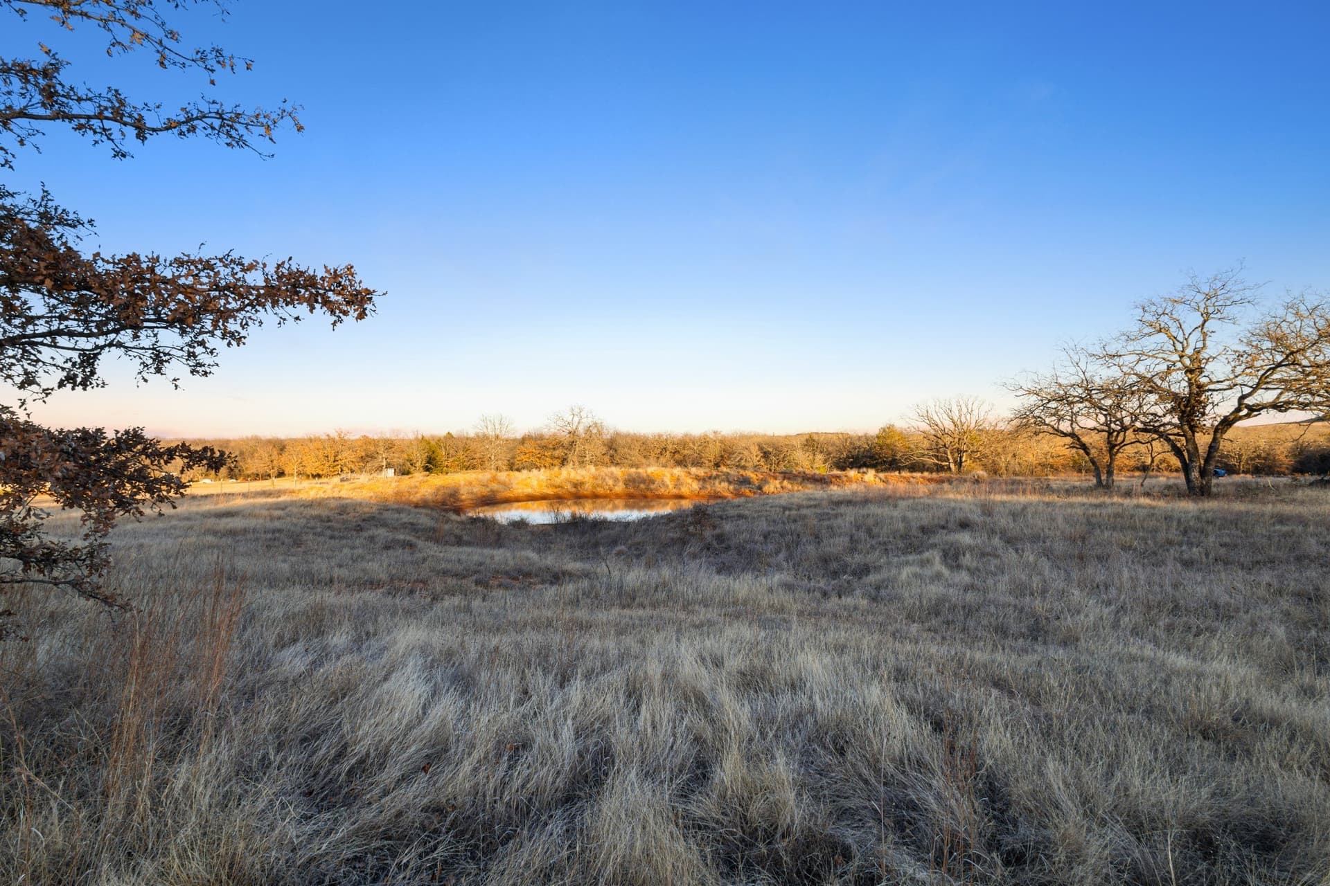 10.01 acres in Wise County gallery image 2