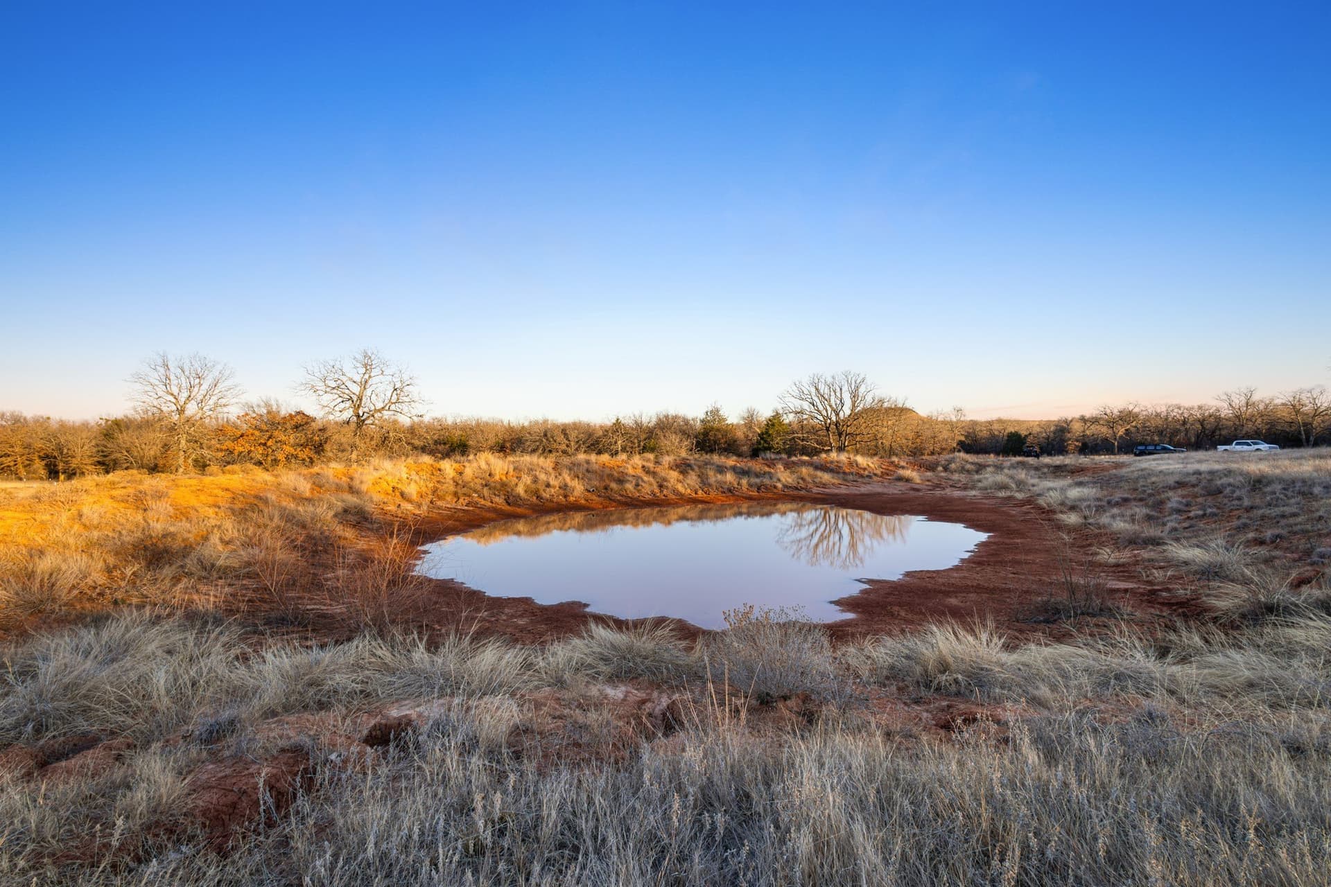 10.01 acres in Wise County gallery image 3