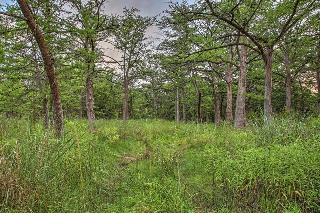 1.41 acres in Kerr County - photo 17