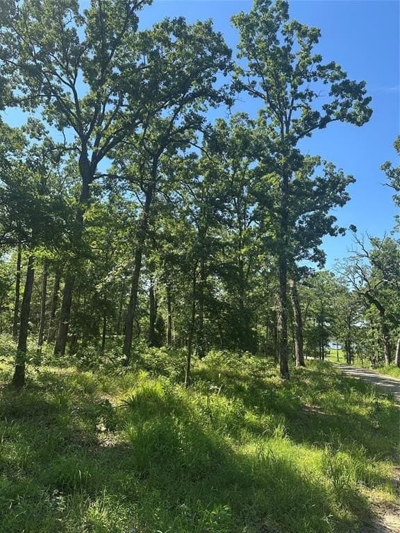 4 acres in Henderson County gallery image 4