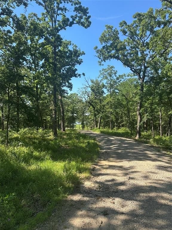 4 acres in Henderson County gallery image 3