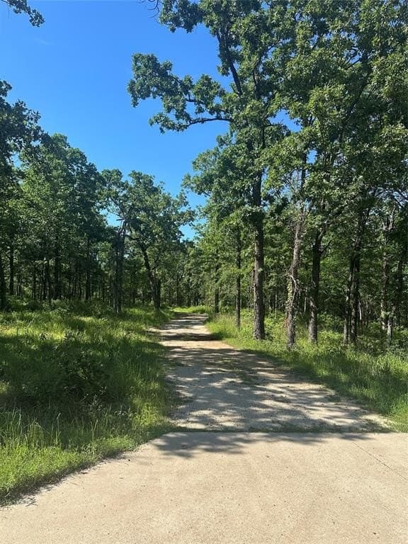4 acres in Henderson County gallery image 2