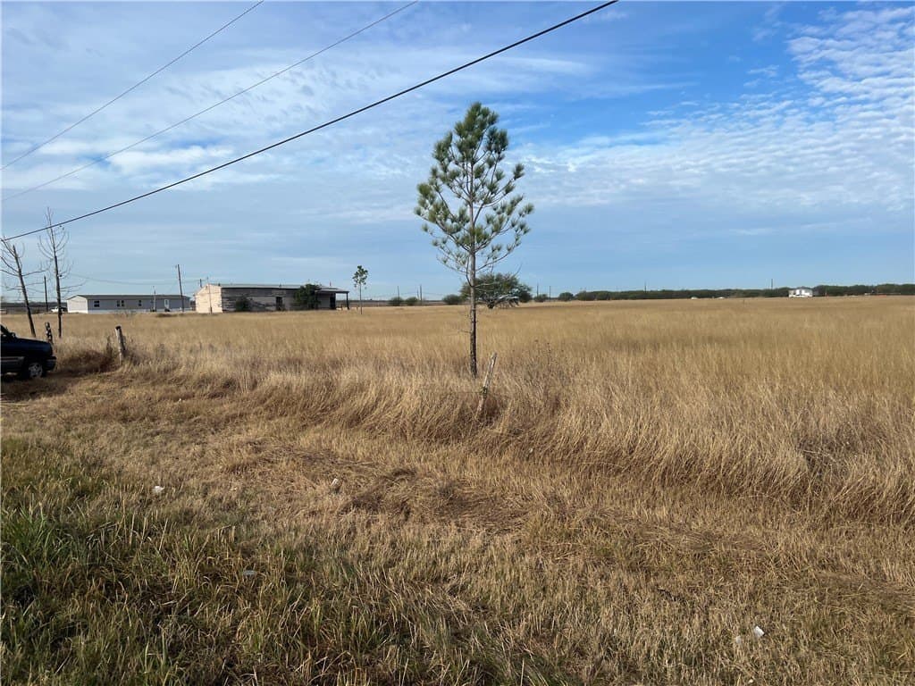 5 acres in San Patricio County gallery image 4