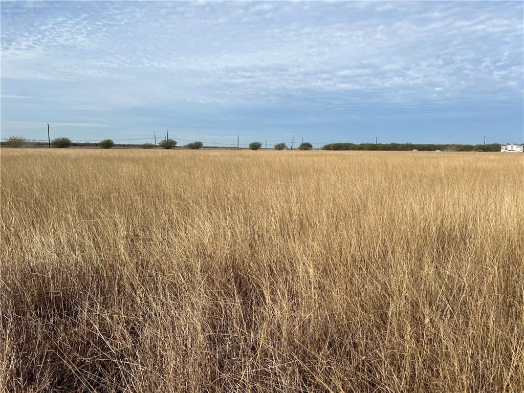 5 acres in San Patricio County - photo 22