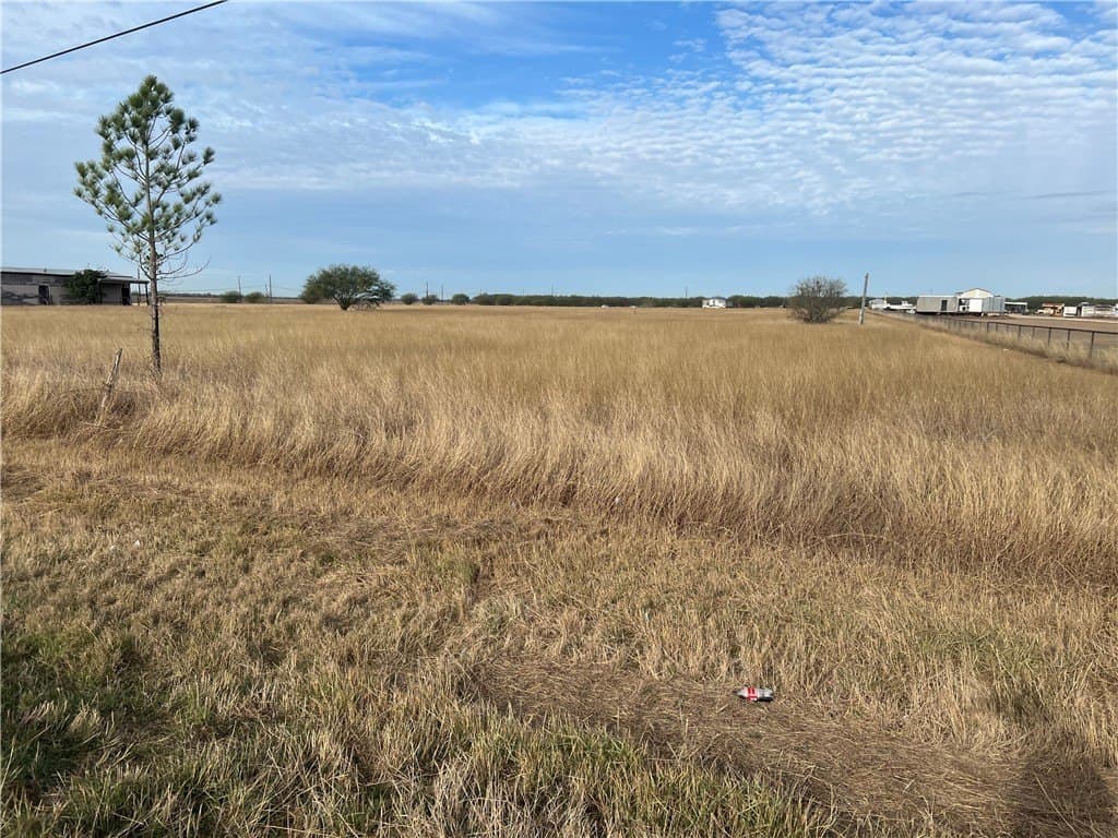 5 acres in San Patricio County gallery image 2