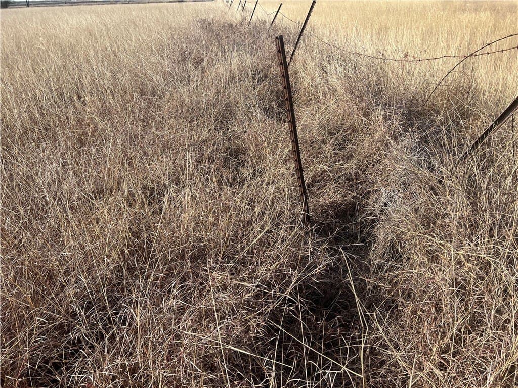 5 acres in San Patricio County - photo 14