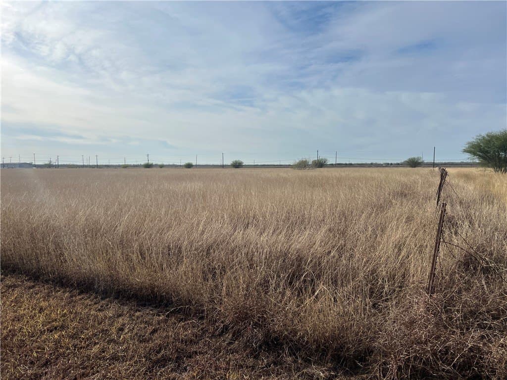 5 acres in San Patricio County - photo 12