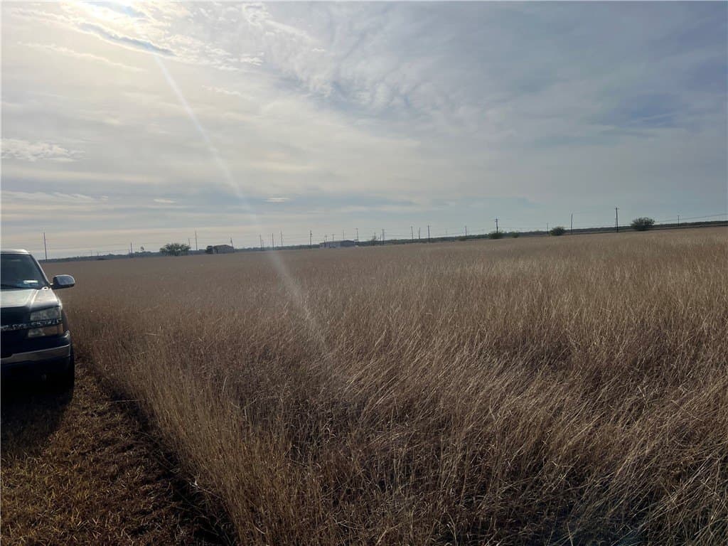 5 acres in San Patricio County - photo 13