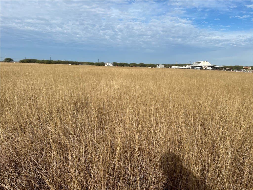 5 acres in San Patricio County - photo 23
