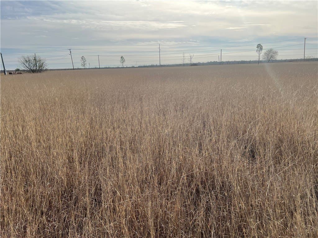 5 acres in San Patricio County - photo 20