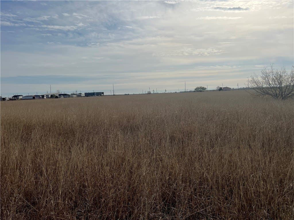 5 acres in San Patricio County - photo 15