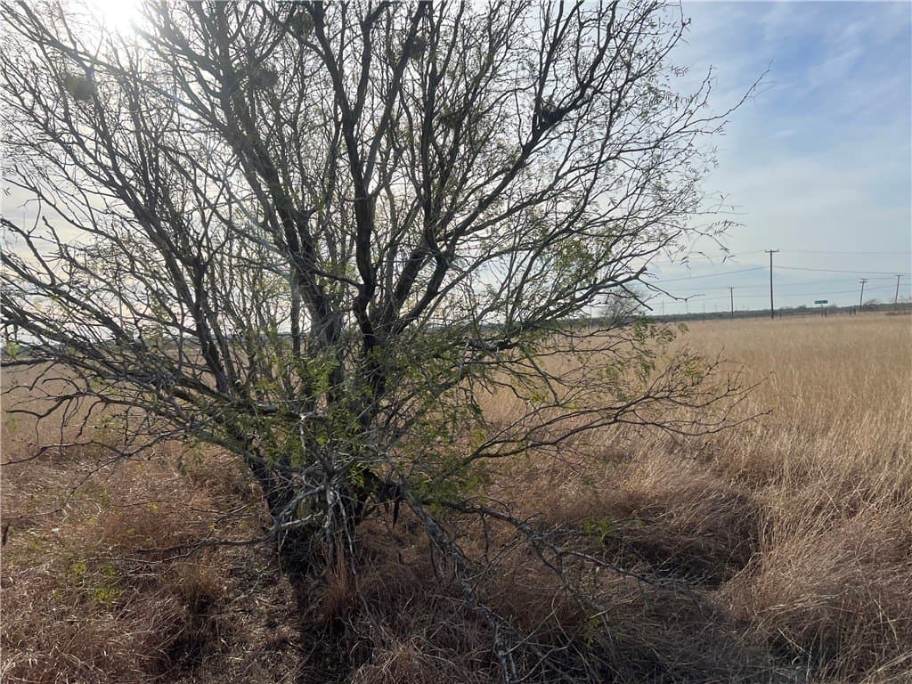 5 acres in San Patricio County - photo 11