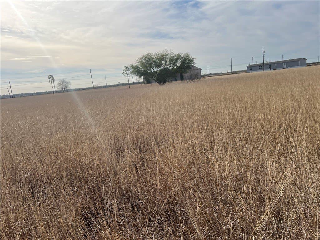 5 acres in San Patricio County - photo 21