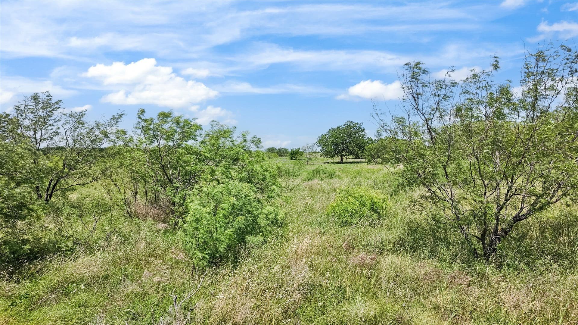 39.99 acres in Montague County - photo 22