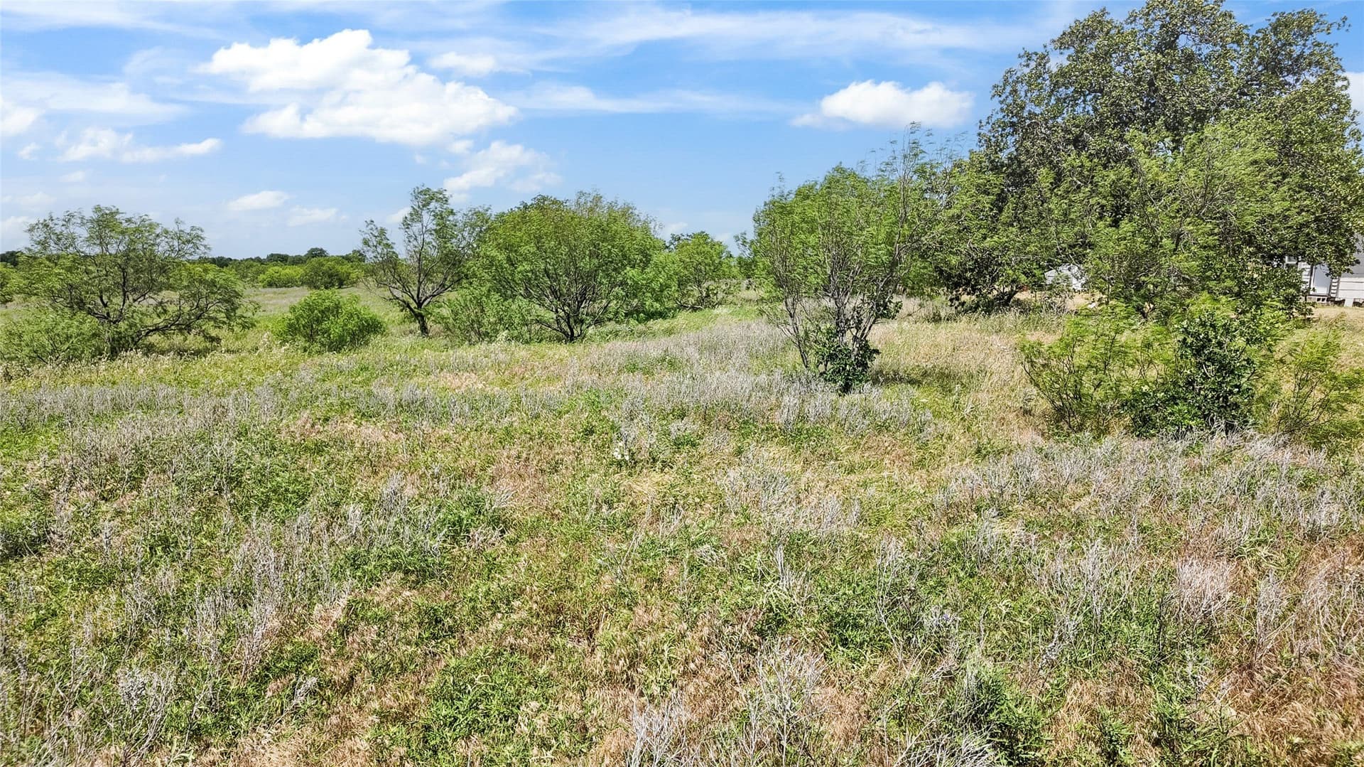 39.99 acres in Montague County - photo 20