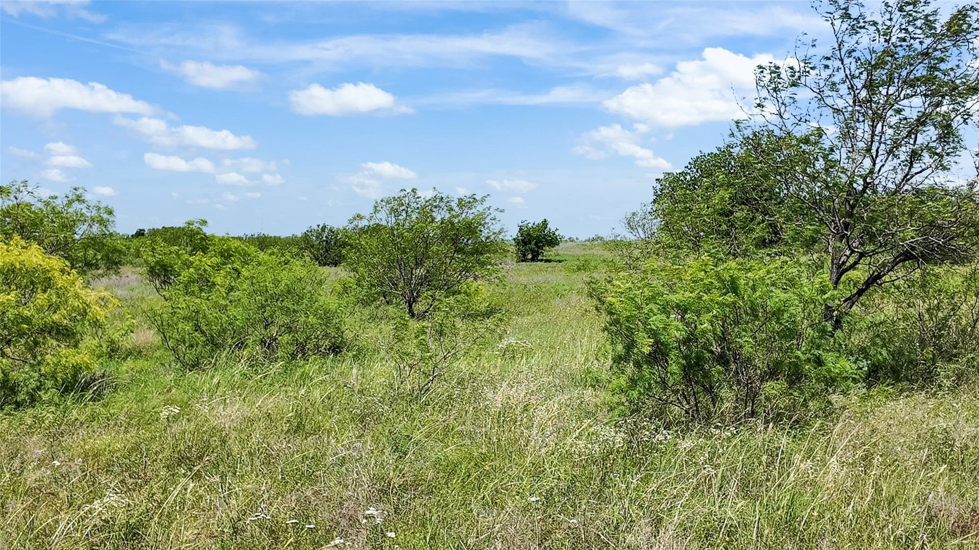 39.99 acres in Montague County - photo 24