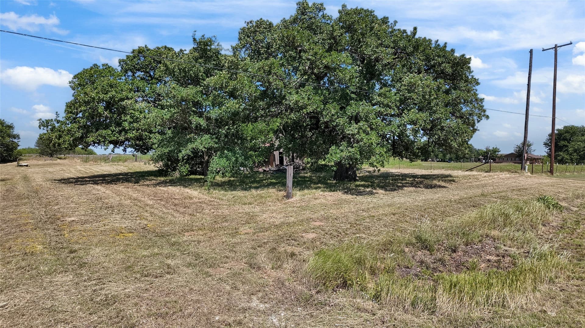 39.99 acres in Montague County - photo 17