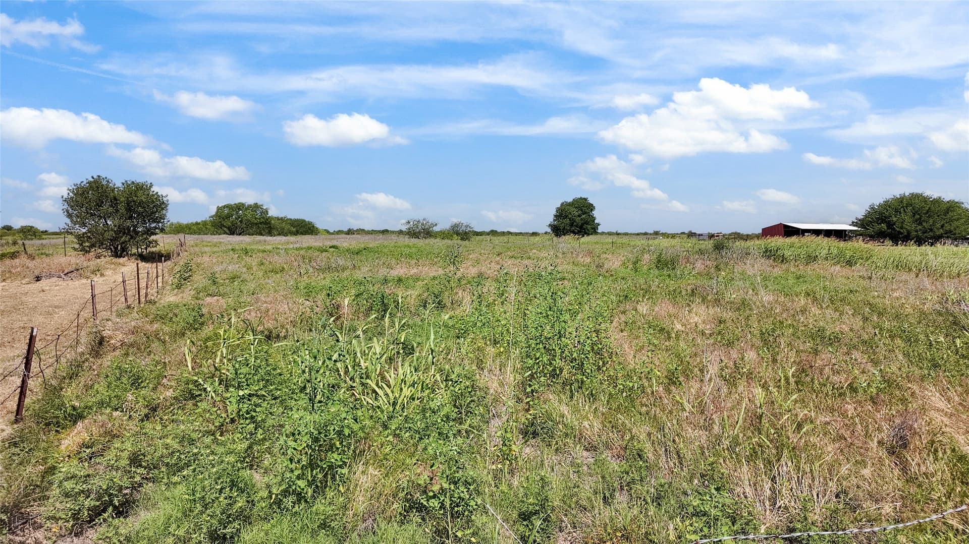 39.99 acres in Montague County - photo 16