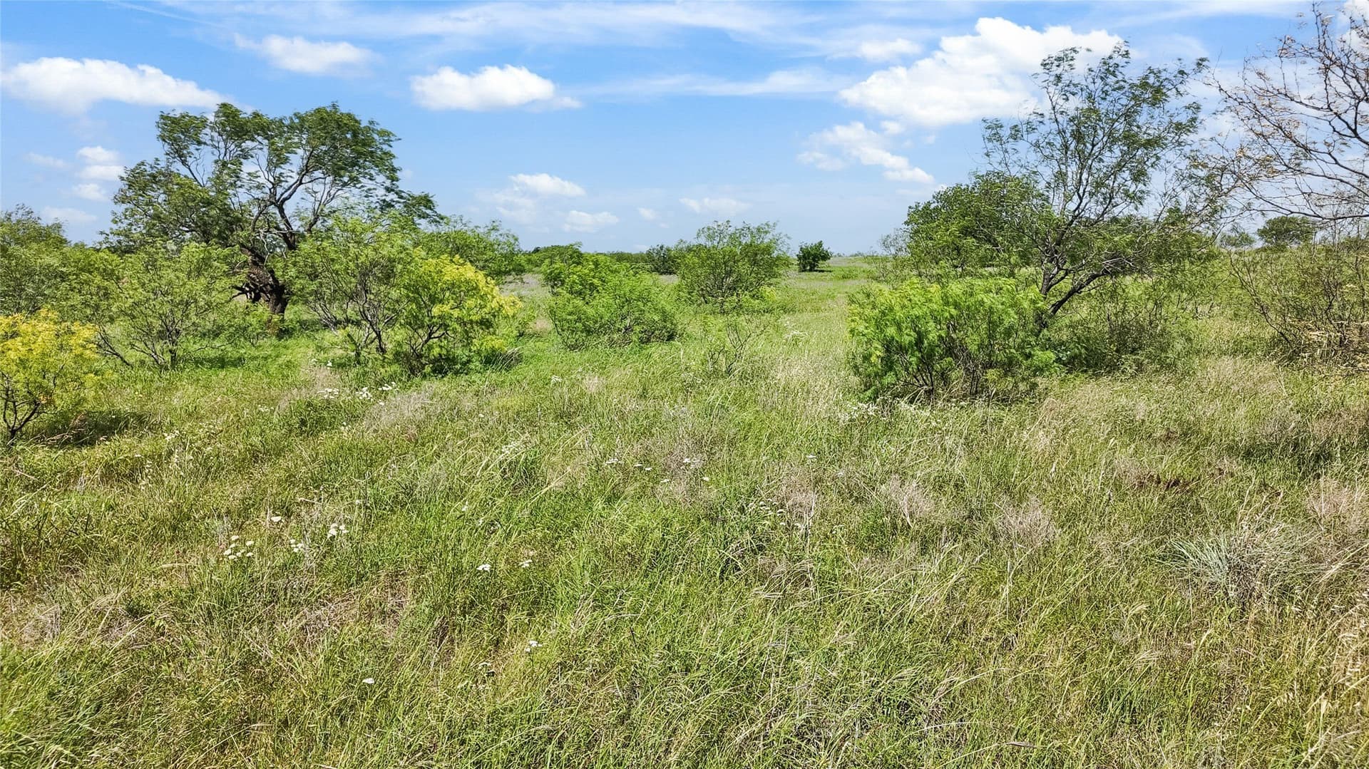 39.99 acres in Montague County - photo 23