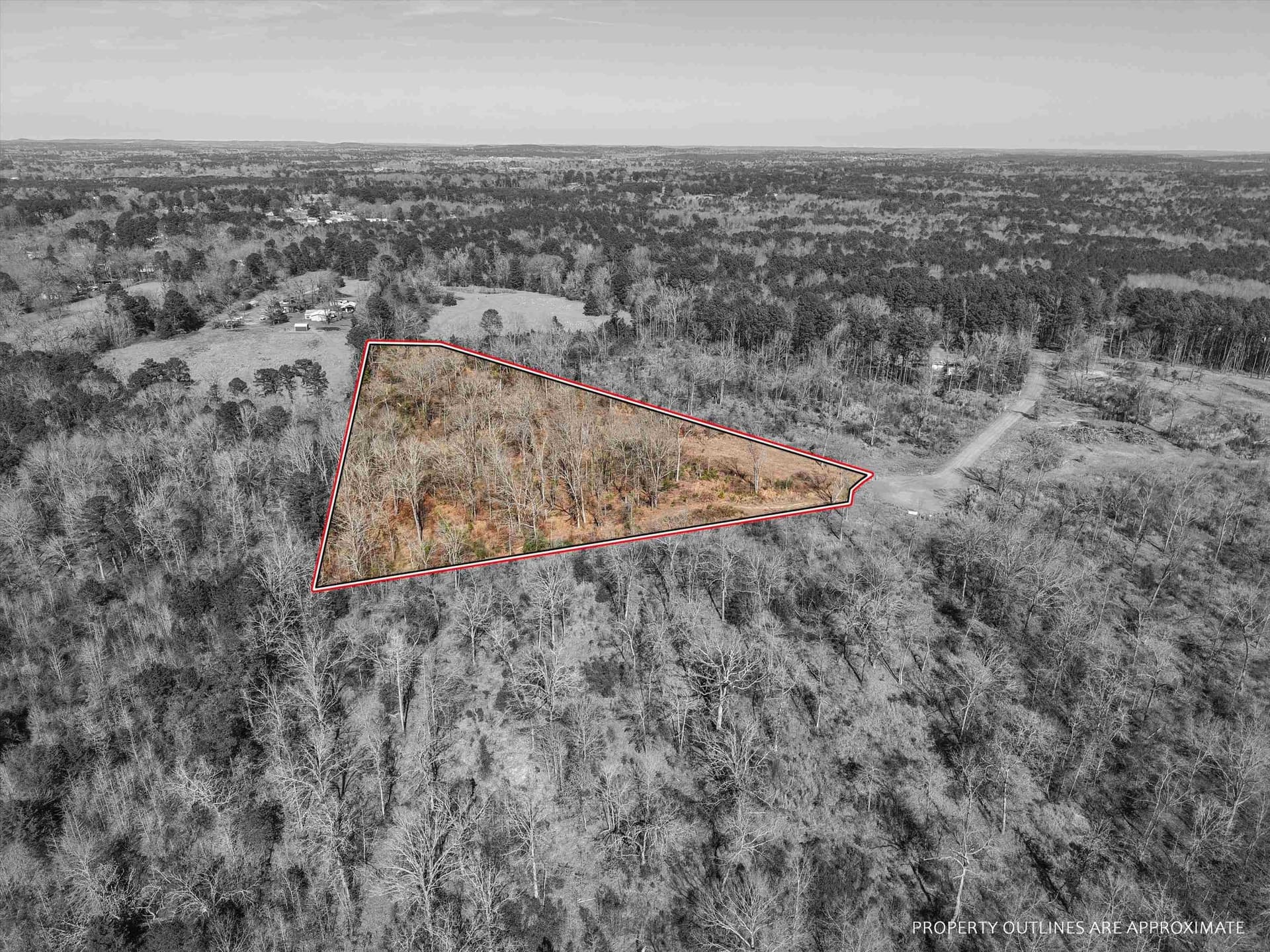 6.4 acres in Upshur County gallery image 2