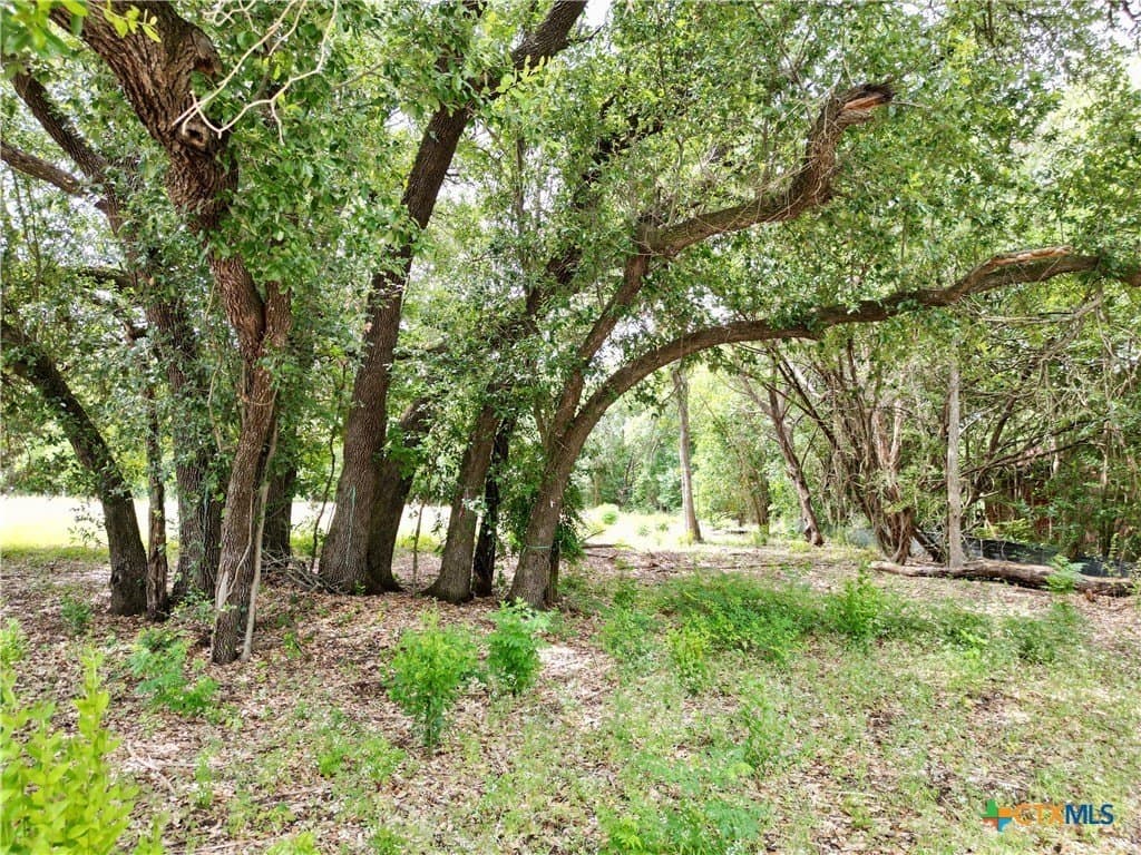 0.64 acres in Bell County gallery image 3