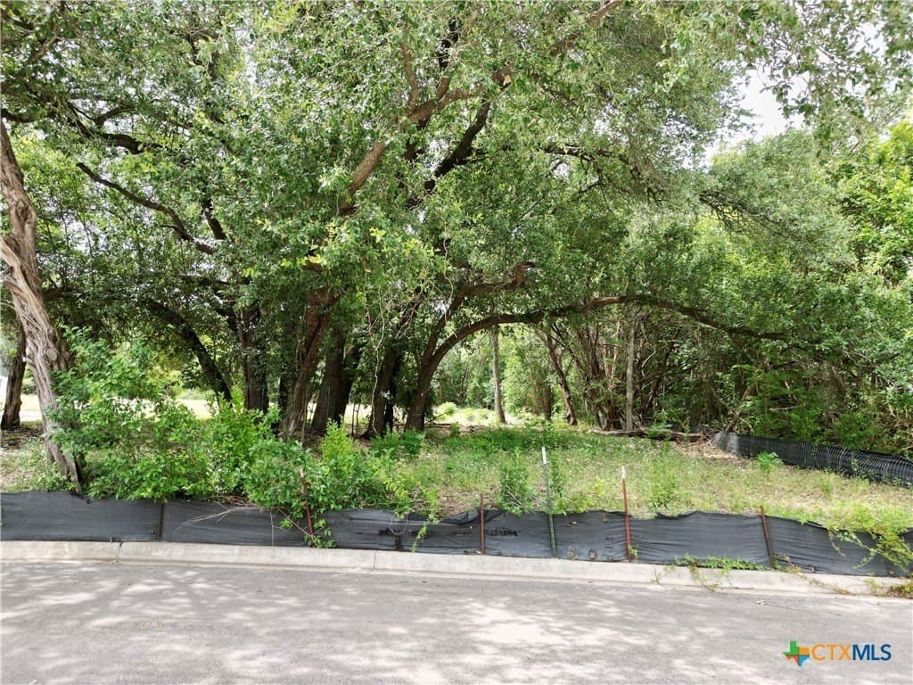 0.64 acres in Bell County gallery image 2