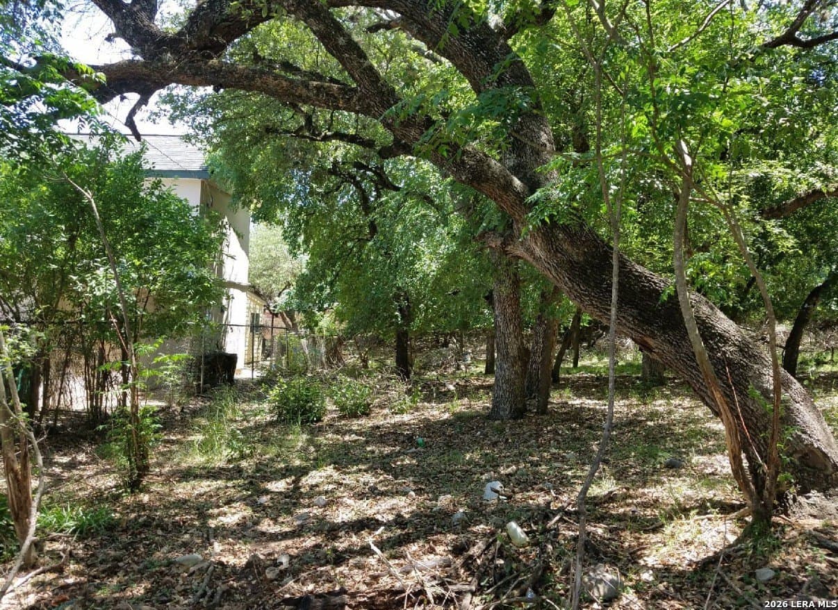 0.29 acres in Bexar County gallery image 2