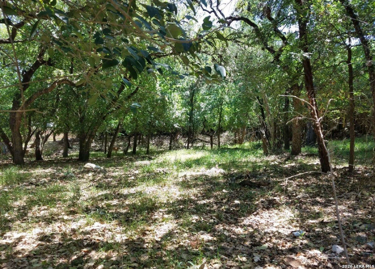 0.29 acres in Bexar County gallery image 3