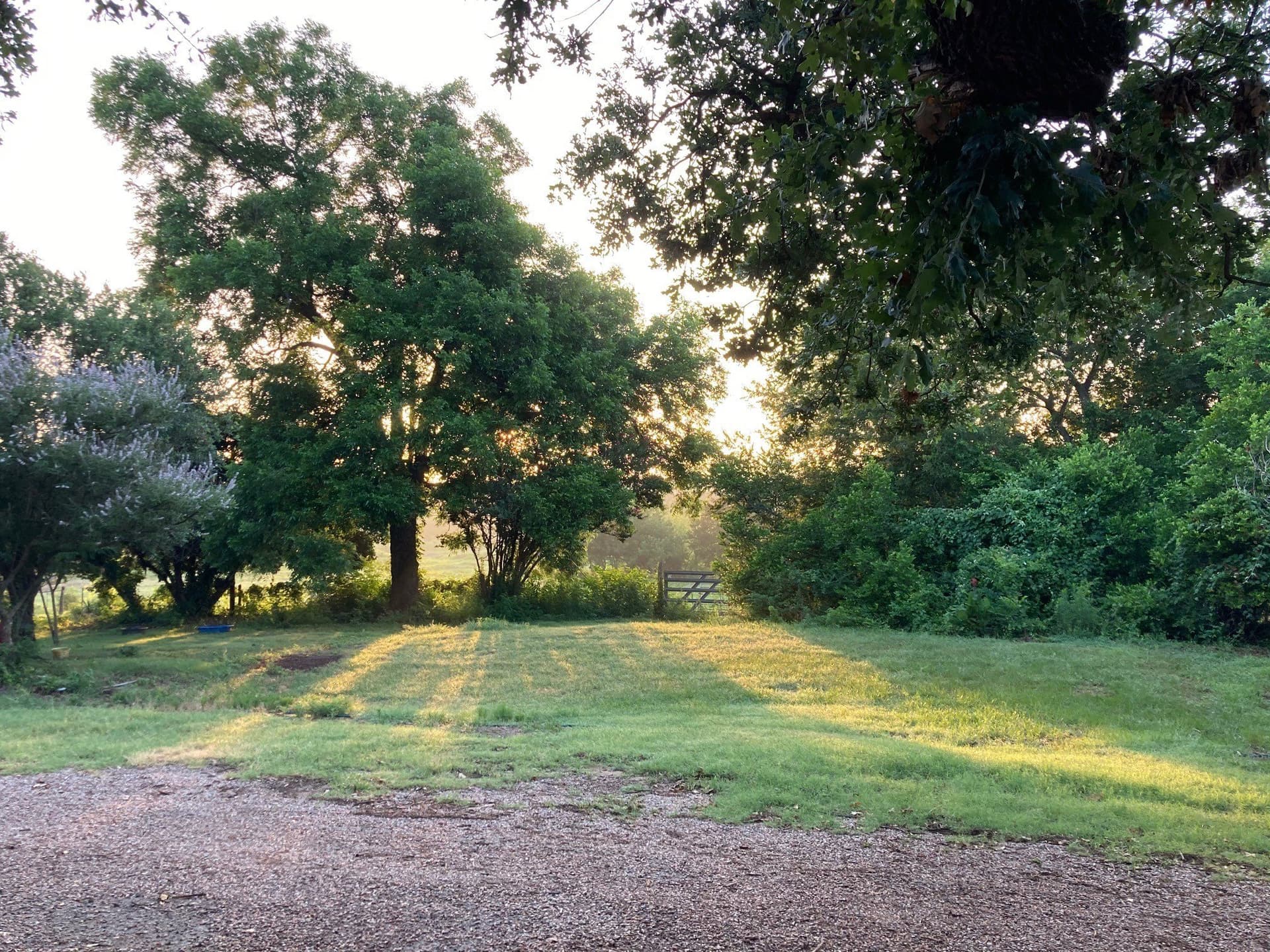 39.47 acres in Tarrant County - photo 29