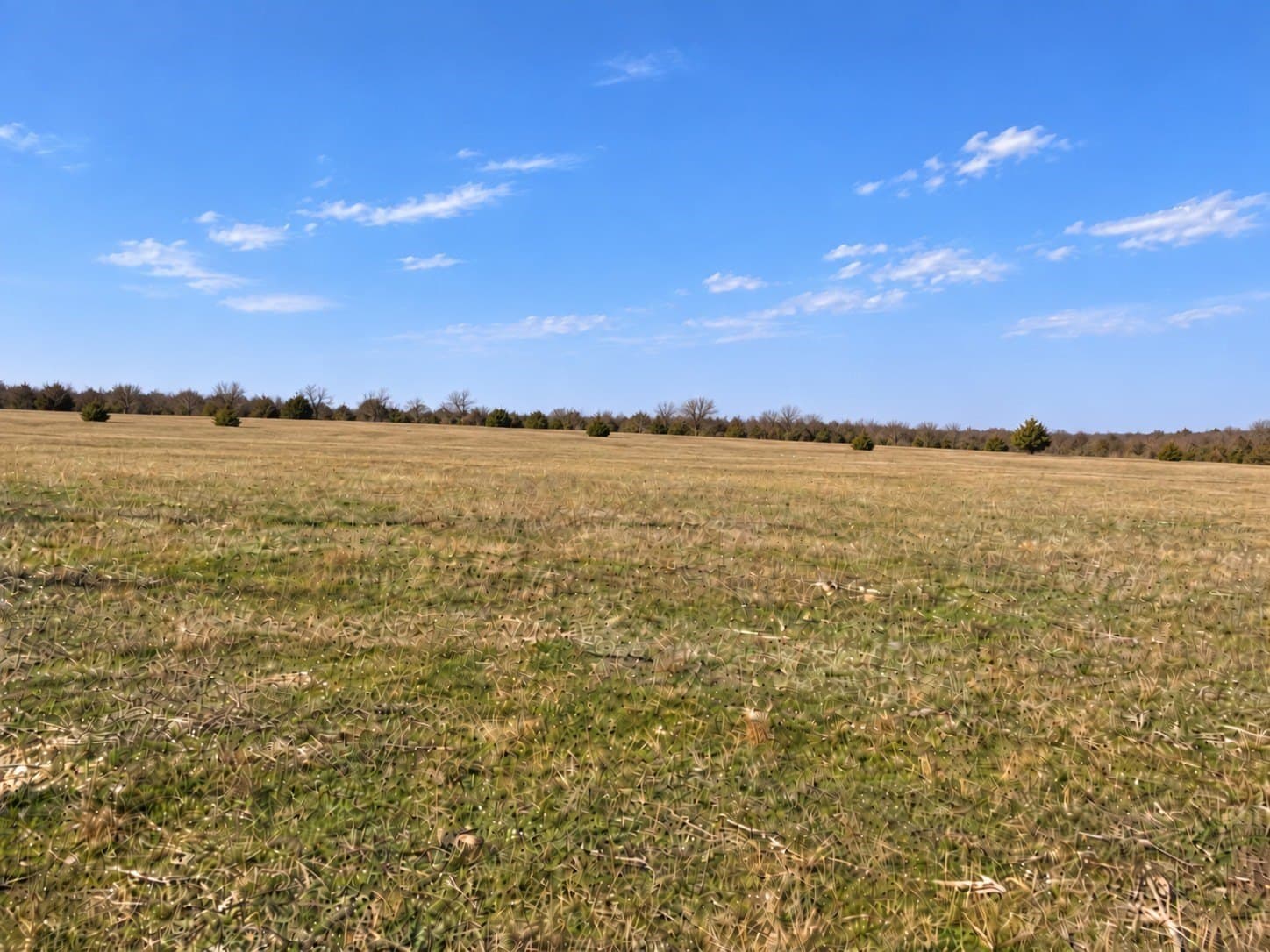 5 acres in Hill County - photo 2