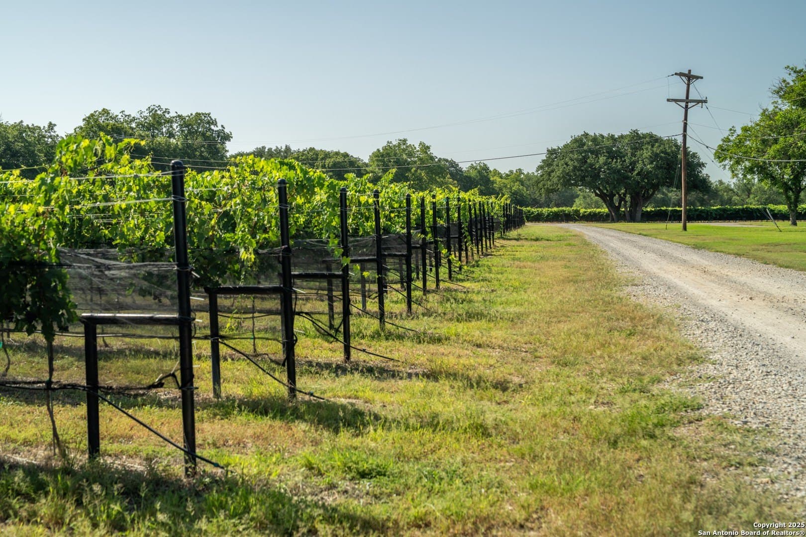 25 acres in Tom Green County - photo 27