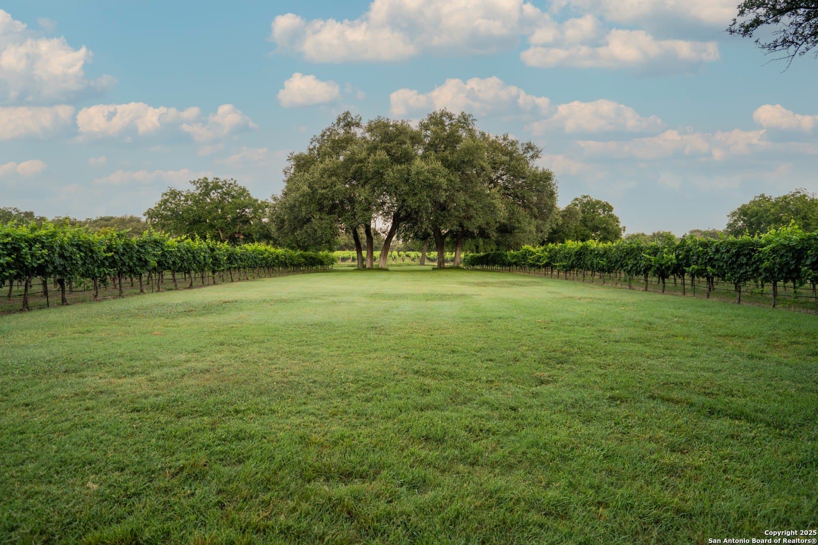 25 acres in Tom Green County - photo 7