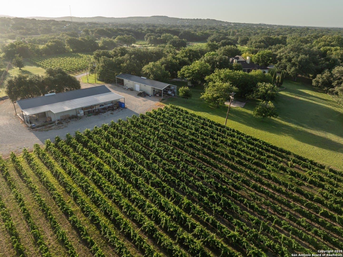25 acres in Tom Green County - photo 12
