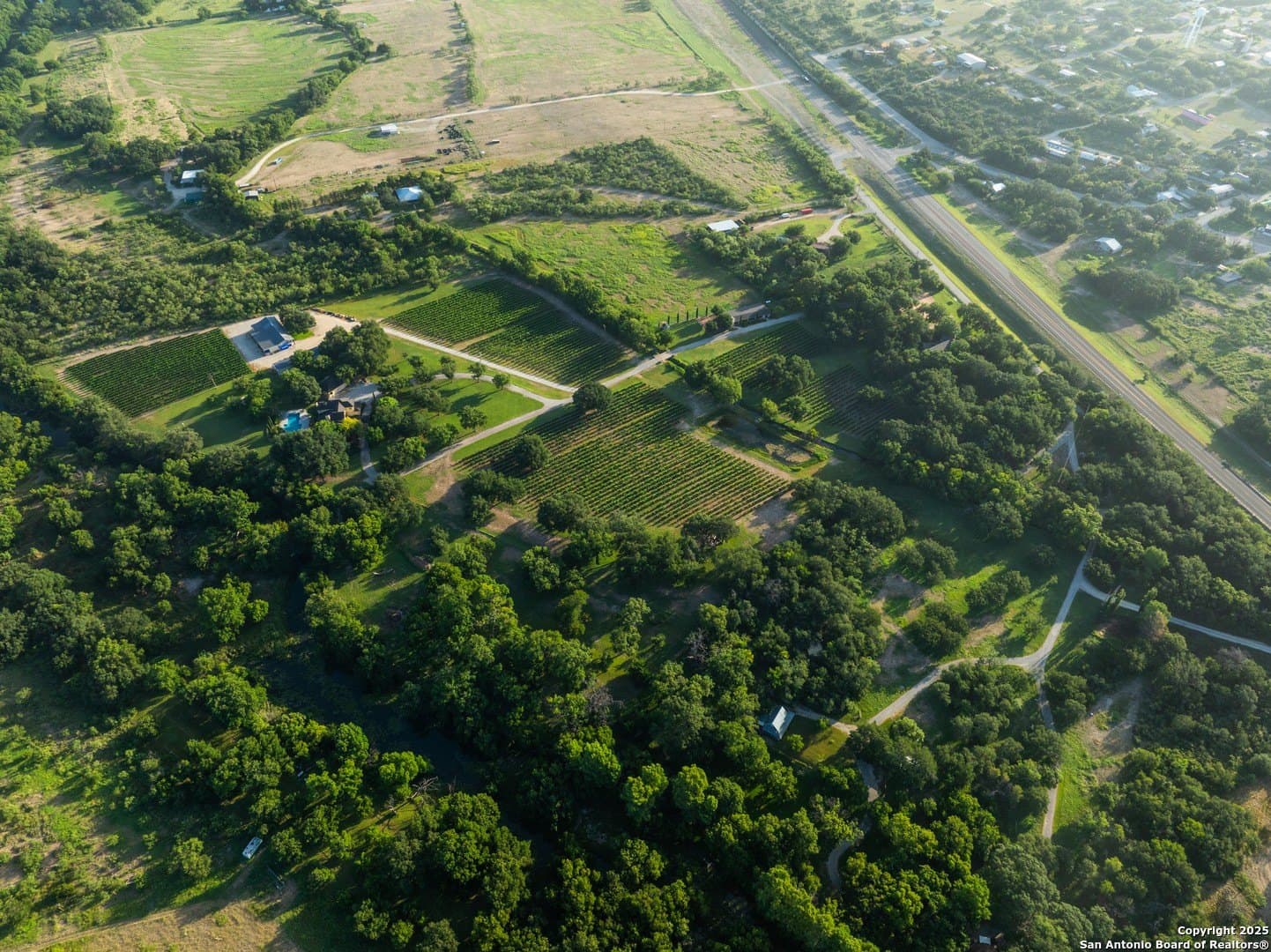25 acres in Tom Green County - photo 14