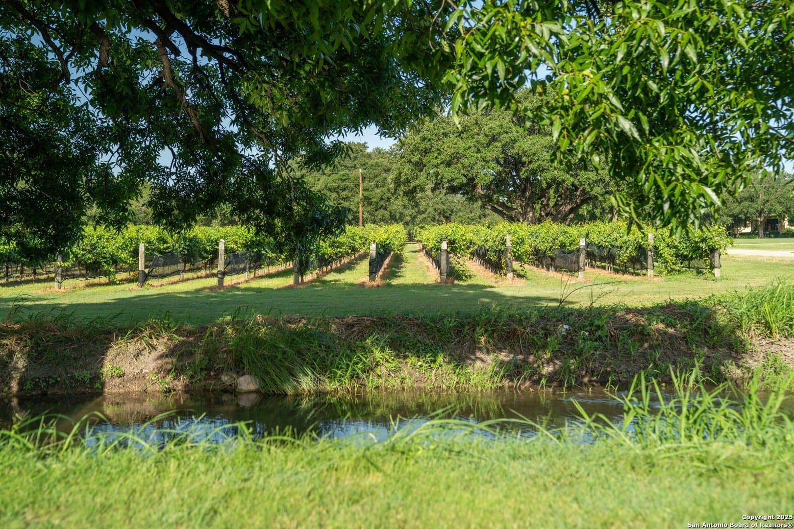 25 acres in Tom Green County - photo 17