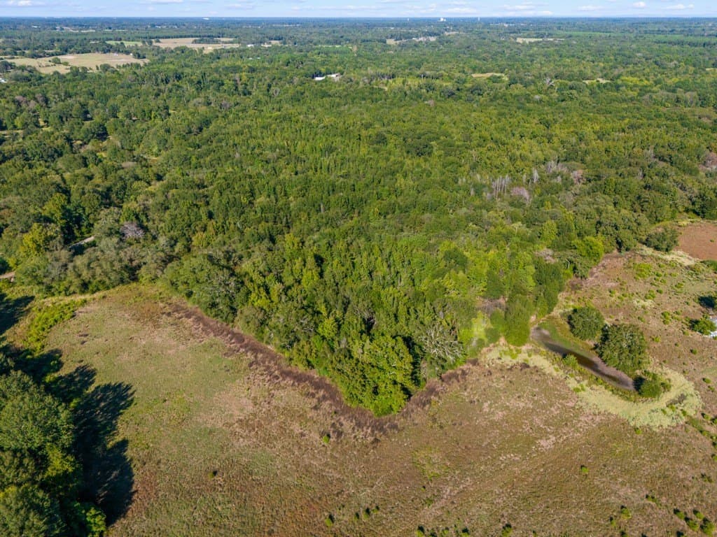 24.11 acres in Camp County - photo 10
