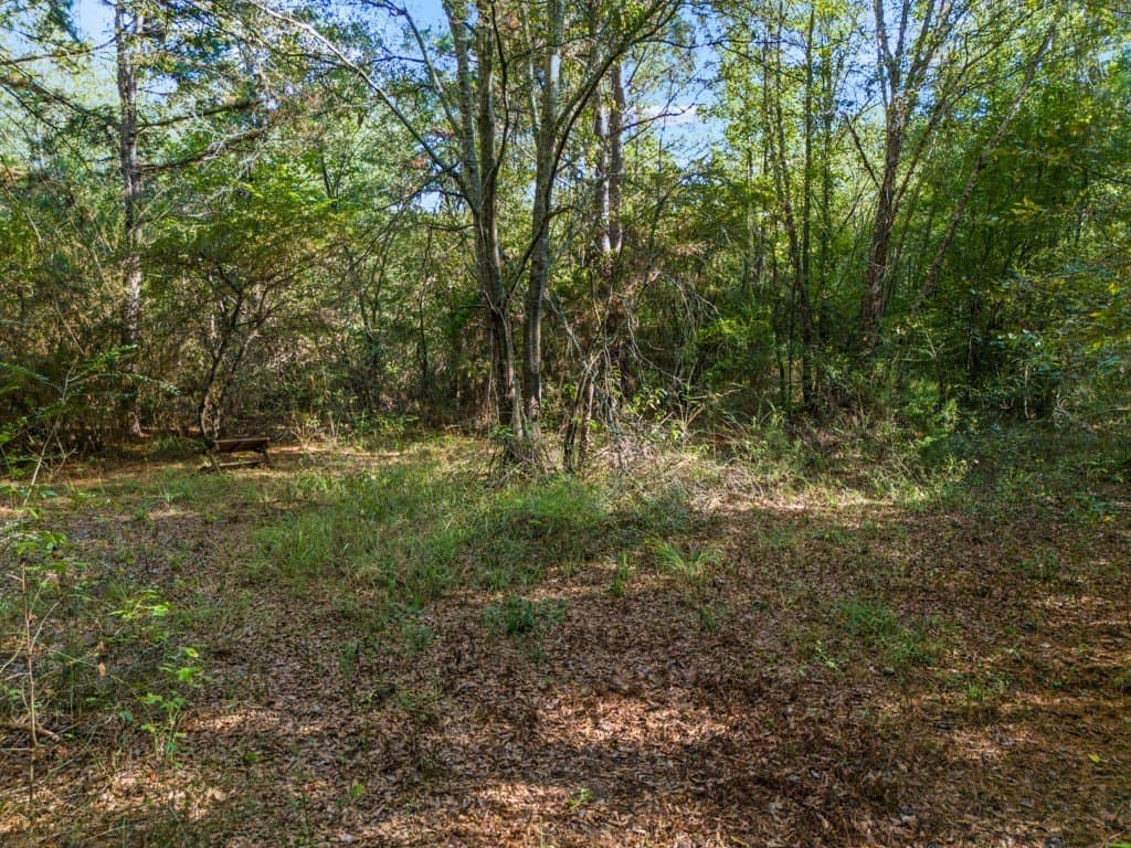 24.11 acres in Camp County - photo 2