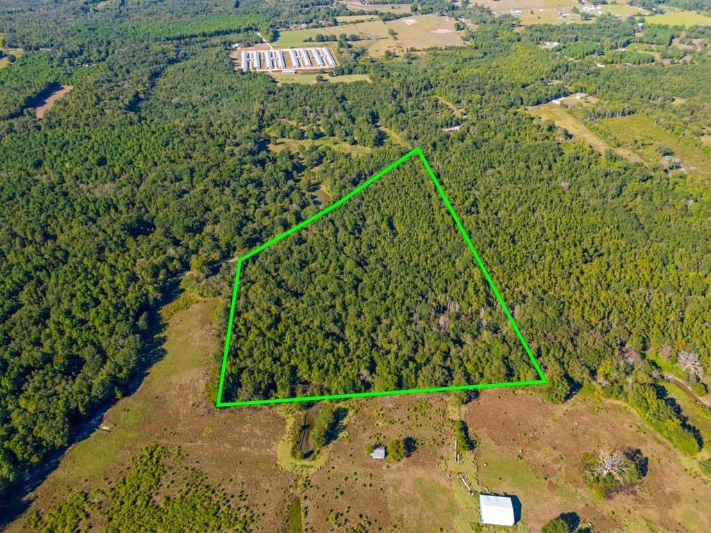 24.11 acres in Camp County - photo 5