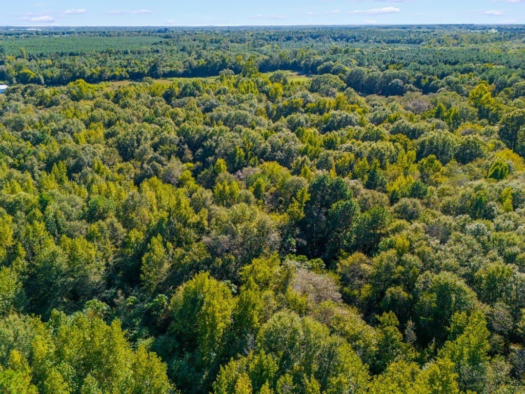 24.11 acres in Camp County - photo 12