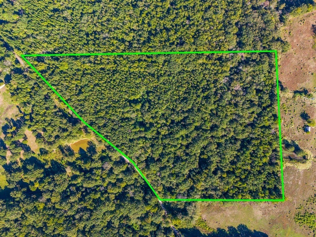 24.11 acres in Camp County - photo 9