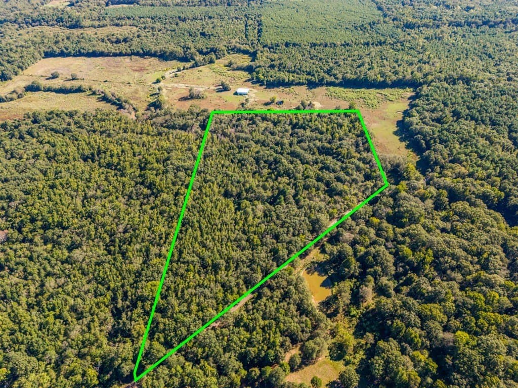 24.11 acres in Camp County - photo 8